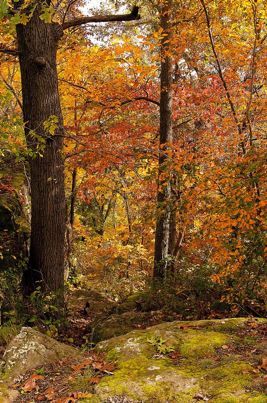 Black Rock Preserve NBP_0515.jpg