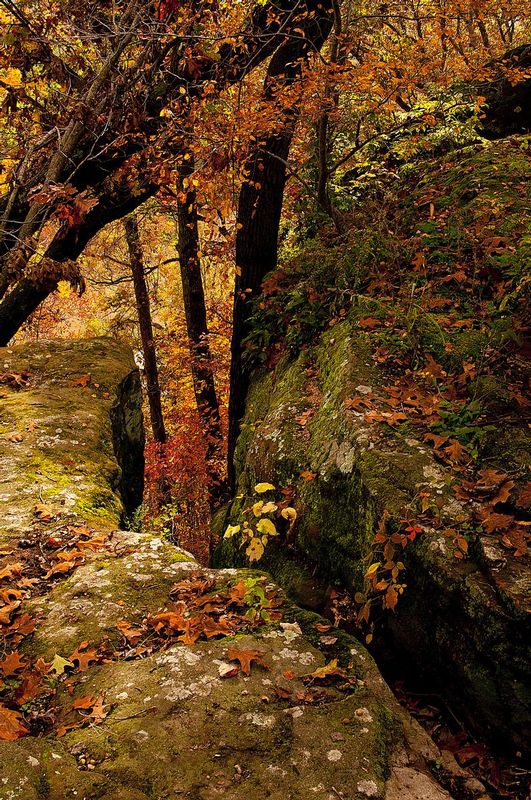 Black Rock Preserve NBP_0518.jpg