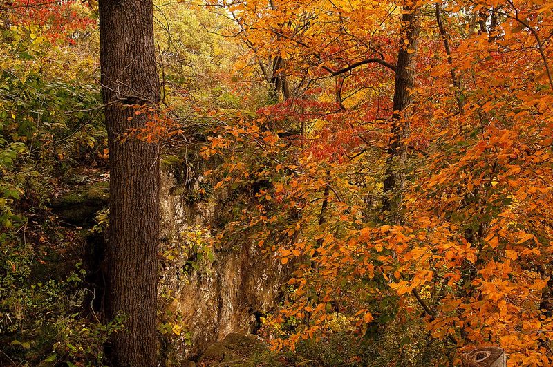Black Rock Preserve NBP_0530.jpg