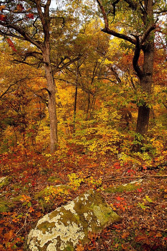 Black Rock Preserve NBP_0539.jpg
