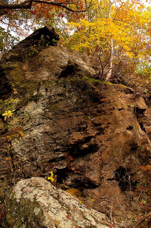 Black Rock Preserve NBP_0592.jpg