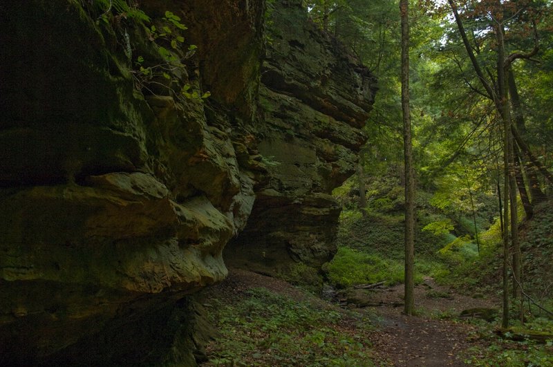 Cliff Shades Park Indiana 5597.jpg