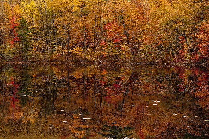 Fall Keewaydin Lake Maine 75678-1.jpg :: Keewaydin Lake, Maine