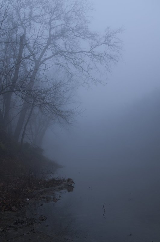 Fog and Bare Trees Windcat Creek Indiana 77660.jpg