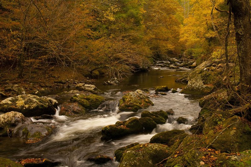 Little River in the Fall Great Smokies National Park 76285-2.jpg