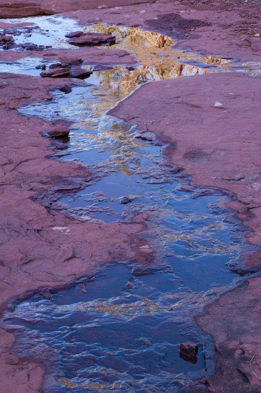 Seasonal Creek Reflections Sedona Arizona 78318.jpg