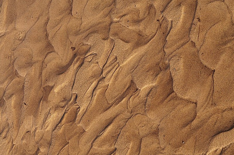 Upper MIchigan Sand Patterns 76351.jpg