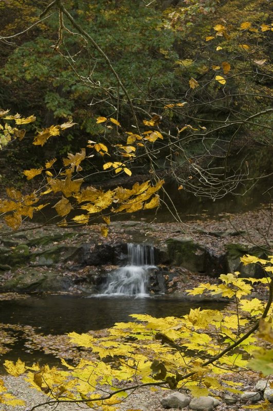 Waterfall and Leaves Indiana 3344.jpg