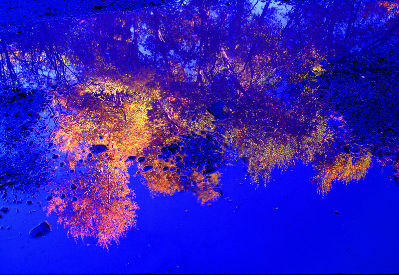 DCO-1000-1 Puddle reflections San Juans Colorado.jpg