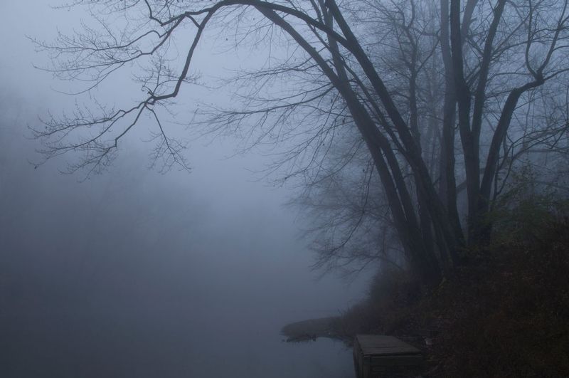 Heavy Fog and Bare Trees Wildcat Creek Indiana (IN-77669).jpg