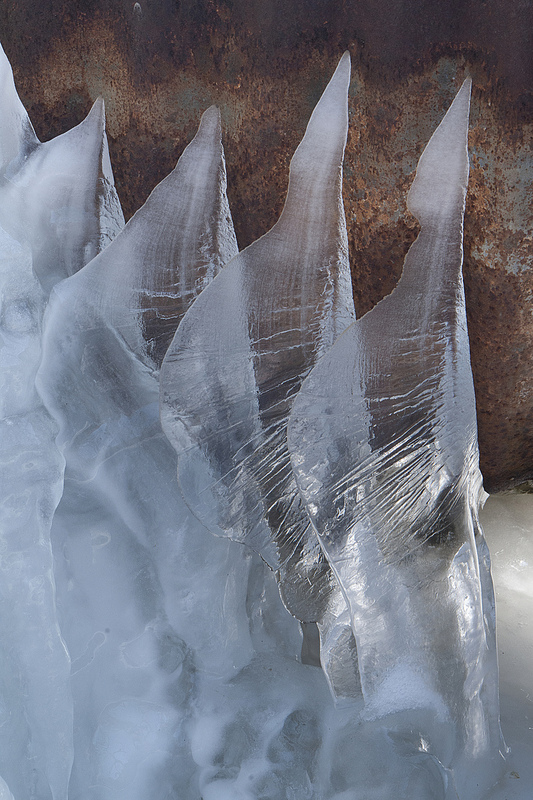 Ice Spears Warren County Indiana PEK76815cs.jpg