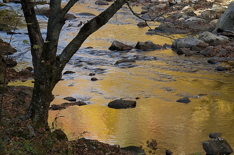 Reflected Afternoon Light Little River Great Smokies NP TN Ind Greeting Card PEK75908.jpg :: Reflected Afternoon Light Little River Great Smokies National Park Tennessee Ind Greeting Card PEK75908