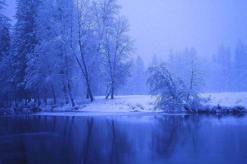 Trees Reflected in the Merced Winter Yosemite National Park.jpg