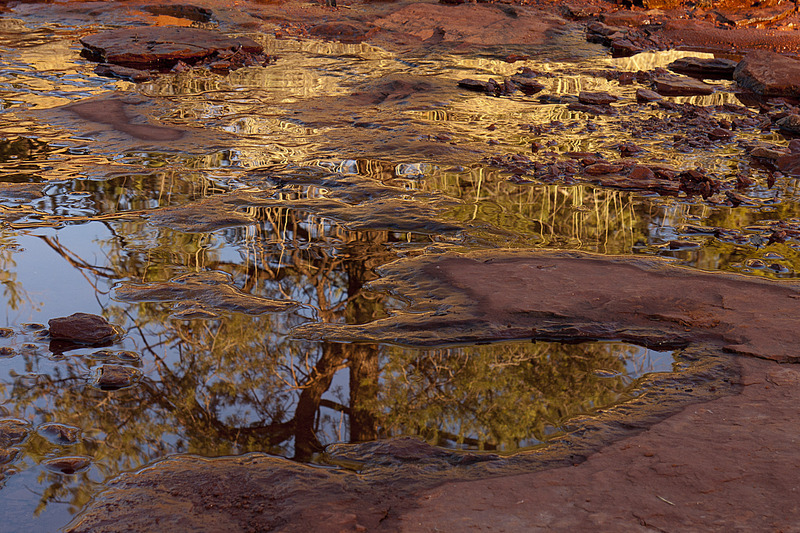 Water Reflections in Stream Sedona AZ SED0349.jpg :: Water Reflections in Stream Sedona Arizona SED0349