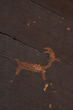 Deer Figure Rock Art Kane Canyon UT RKC-0066s.jpg