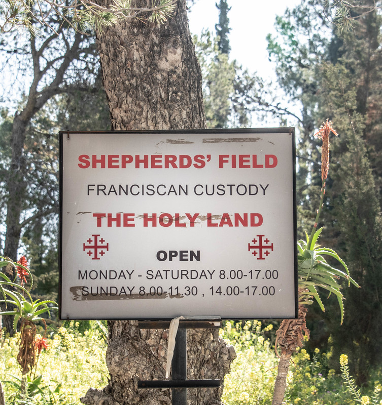 Shepherd 5278.jpg