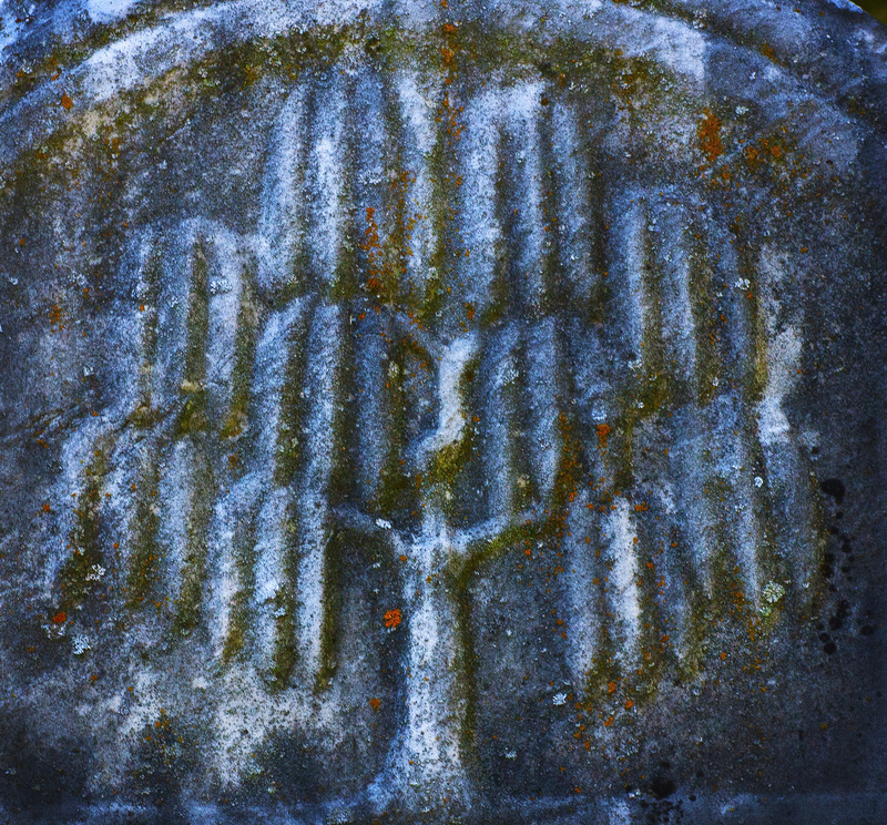 622(1).jpg :: The Willow Tree on Jane Pellum's Tombstone, The Willow, nature shows its sorrow. Meanings: Mourning, Sorrow, Immortality 