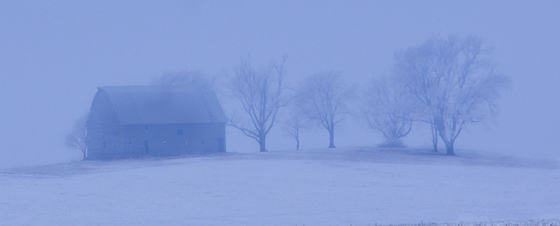 Barn_HoareFrost.jpg :: Barn near Monticello, Piatt County