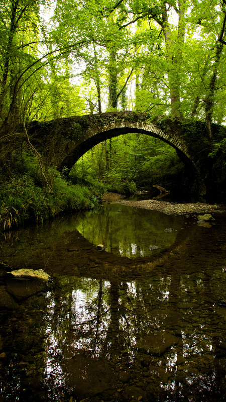 Bridge7347.jpg :: Stone Footbridge, Catalonia, Spain