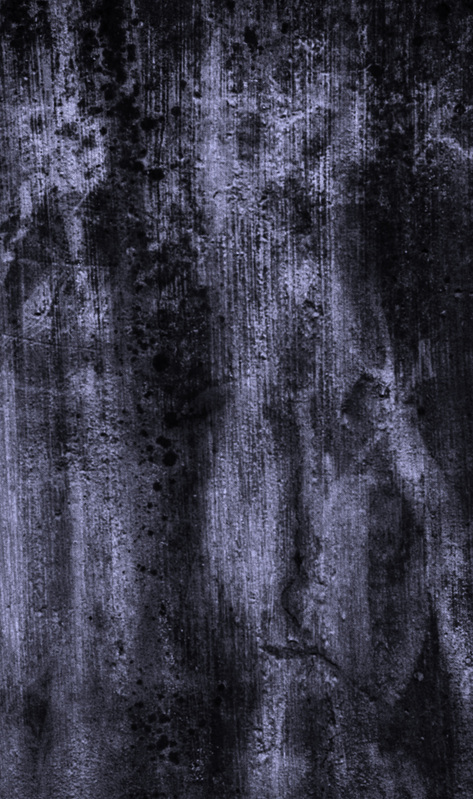 Companions_Abstract_Website.jpg