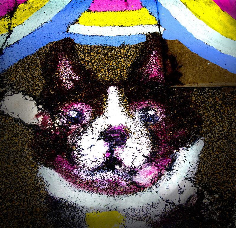 DogOnStreet.jpg :: Painting of a Dog, Youth Contest, Monticello, Illinois