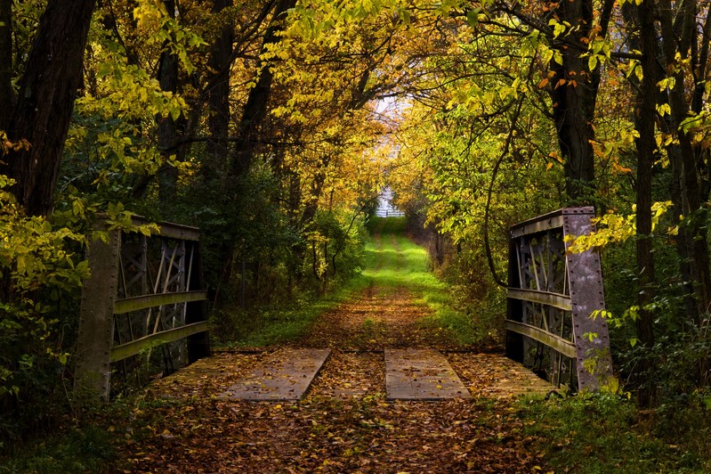 FreindsCreek_Photo18.jpg :: Pony Truss Bridge, Friends Creek Park, Cisco, Illinois