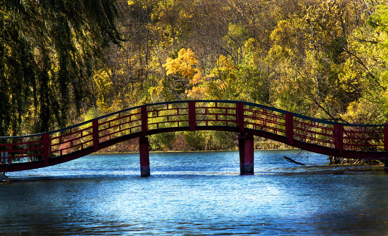 JamesvilleBridge(1).jpg :: Japanese Arched Bridge, Rotary Botanical Garden. Jamesville, Wisconsin  