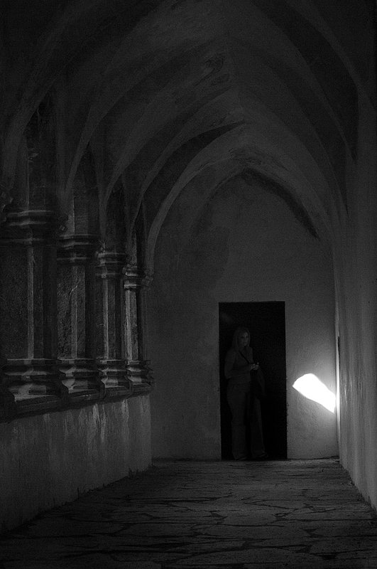 Muckross Abbey.jpg :: Muckroos Abbey