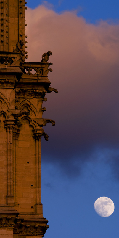 NorteDameGargoyles.jpg :: Gargoyles on Notre Dame Cathedral 