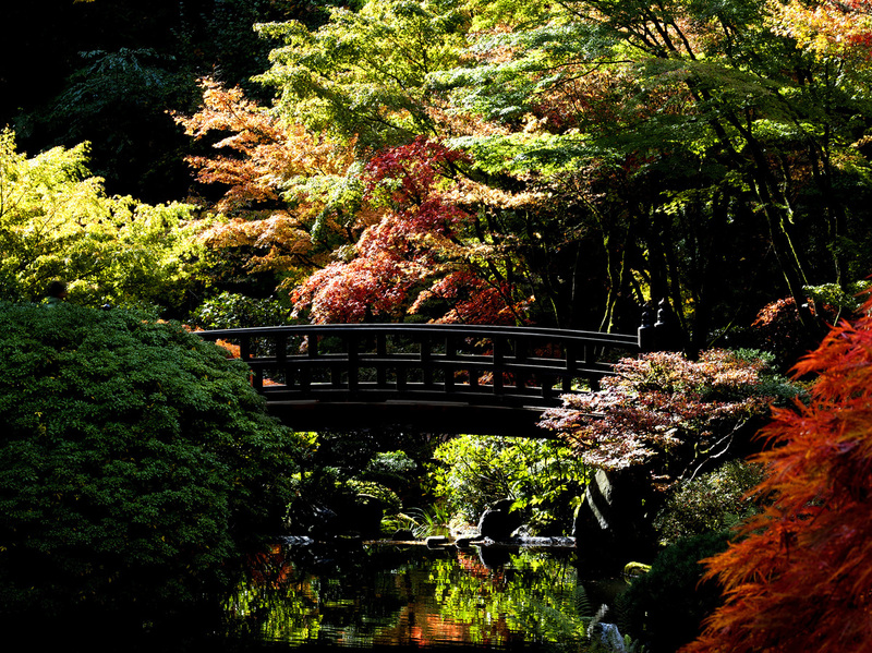PortlandBridge.jpg :: Moon Bridge, Portland Japanese Garden, Portland, Oregon