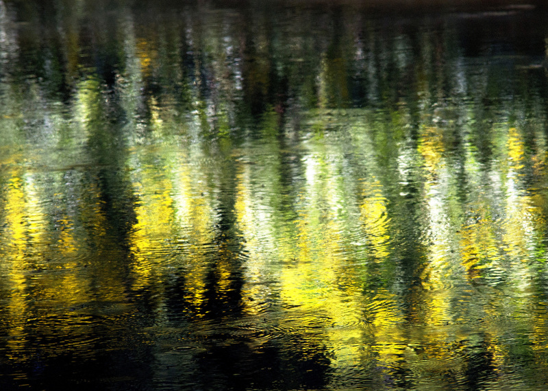 ReflectSangAbstractWebsite.jpg