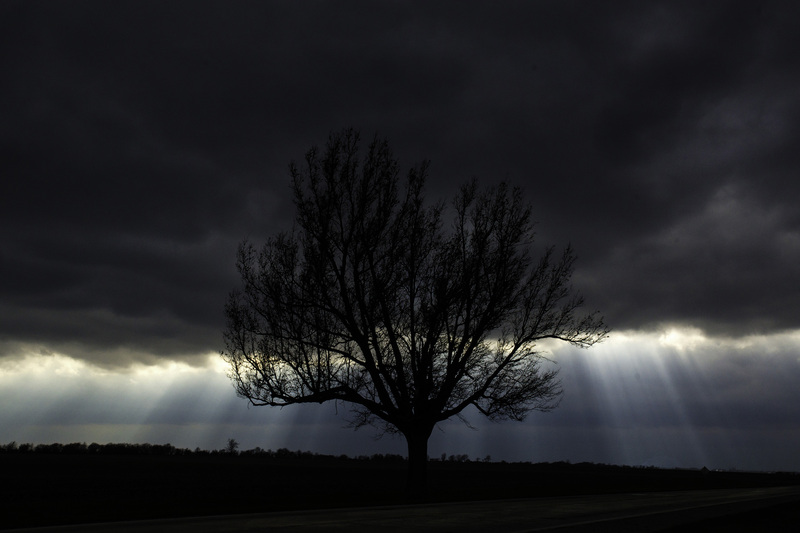 StormTreeRedframe.jpg :: The Oak and Clearing Storm