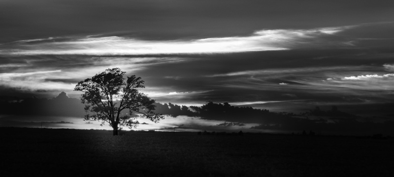 SunsetTreeRedframe.jpg :: Midwest Sunset and Tree in the Fence Row