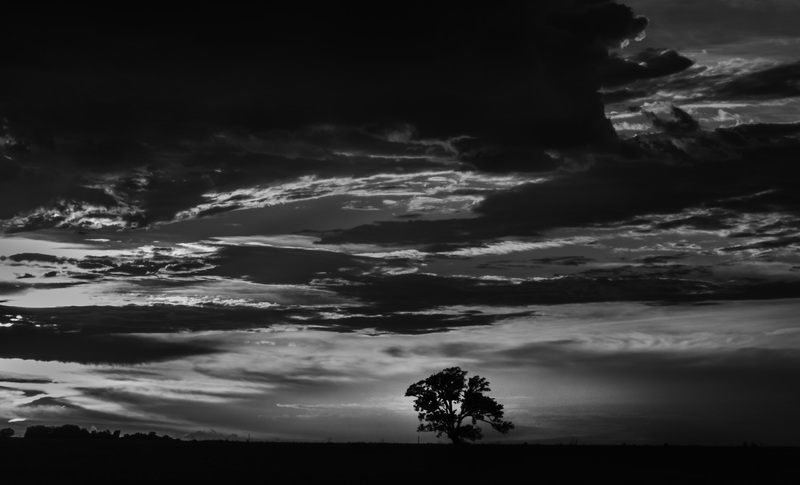 TreeSunsetRedframe.jpg :: Midwest Sunset and a Tree in the Fence Row