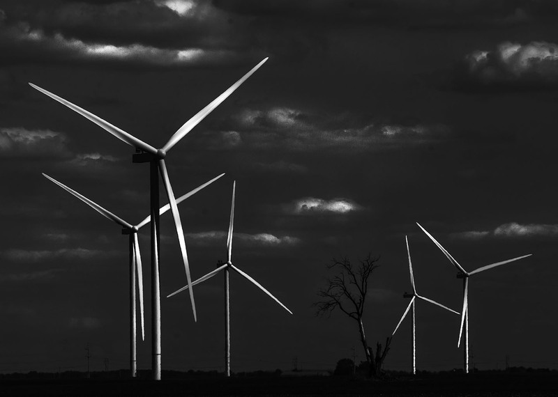 TurbineTree_RedF.jpg :: Wind Turbines and Tree in Piatt County