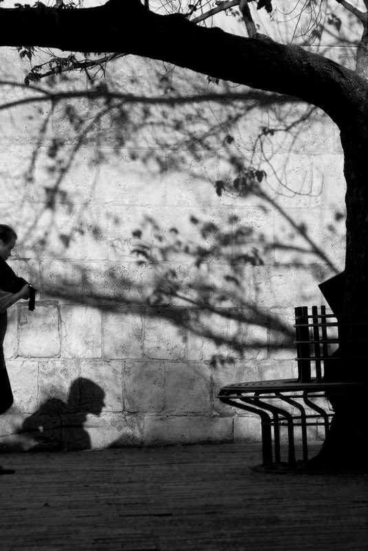 Website Lady Shadow.jpg :: Lady and Shadow in Krakow 