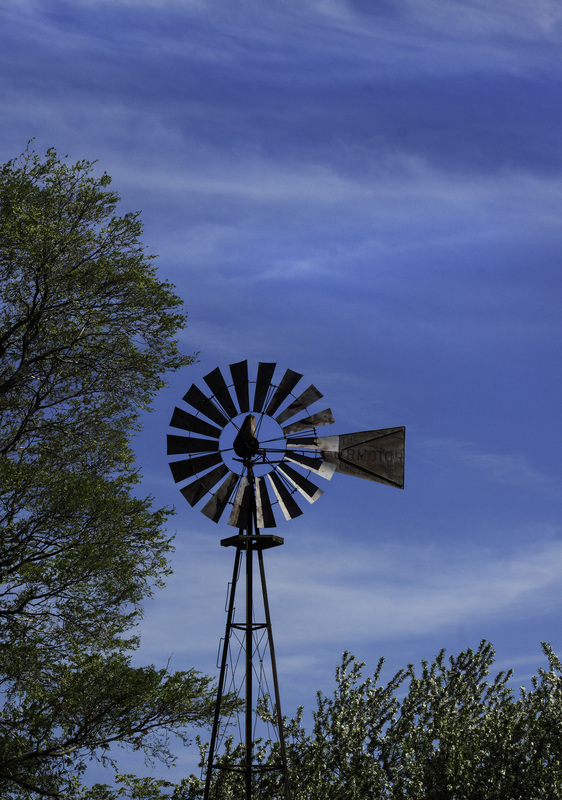 WindmillRedframe_07Spring2025.jpg :: Aermotor Windmill in Champaign County, Illinois