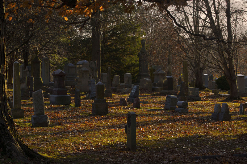 BlackSection.jpg :: In 1879 the Board of Mangers of Oak Ridge “set apart a potion for the burial of colored persons”
