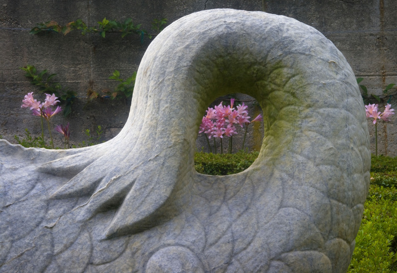 ChineseMaze3.jpg :: A Goldfish in the Chinese Maze Garden, Allerton Park and Retreat Center 