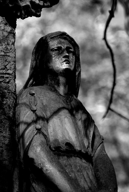 Cmentarz Rakowicki Cemetery 2.jpg :: Cmentarz Rakowicki Cemetery, Krakow, Poland