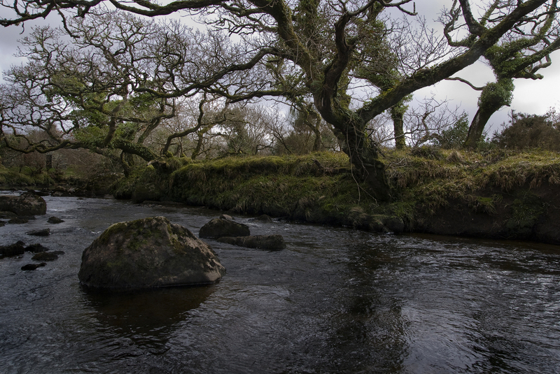 County Mayo Ireland 5.jpg :: County Mayo