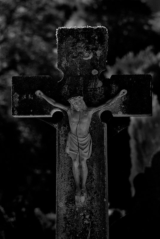 Cross Muckross Abbey.jpg :: Muskross Abbey, Killarney, Ireland