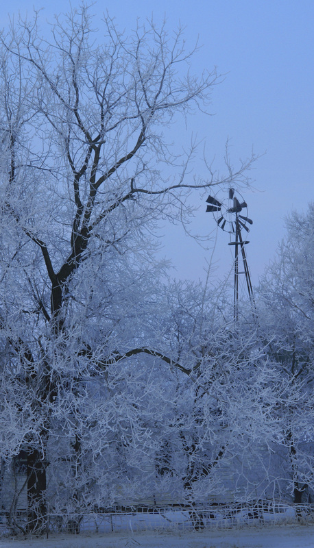 Hoare Frost 2.jpg :: Hoarfrost, Piatt County 