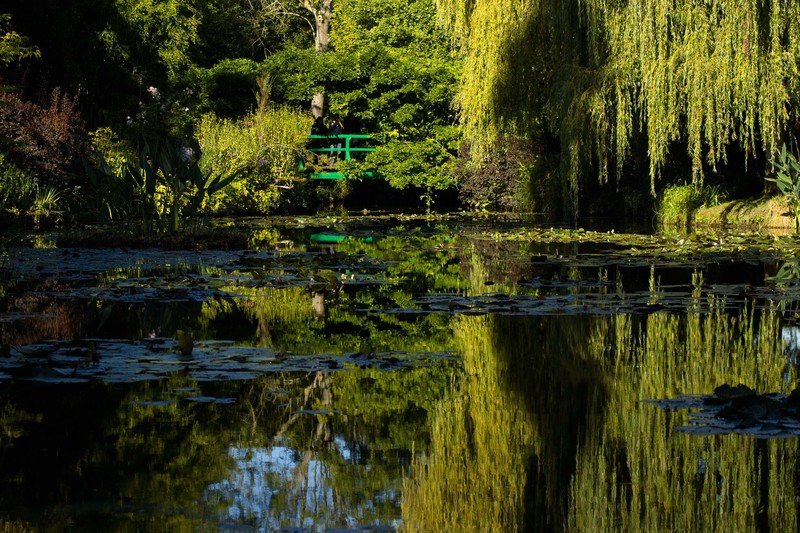 Monets Water Garden Reflection 2.jpg :: Water Garden at Giverny