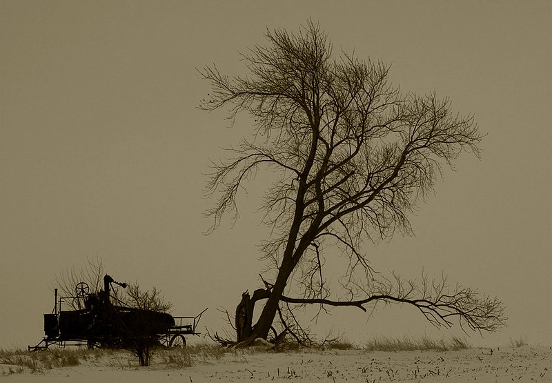 Old Thrashing Machine.jpg :: Old Thrashing Machine and Tree, Piatt County