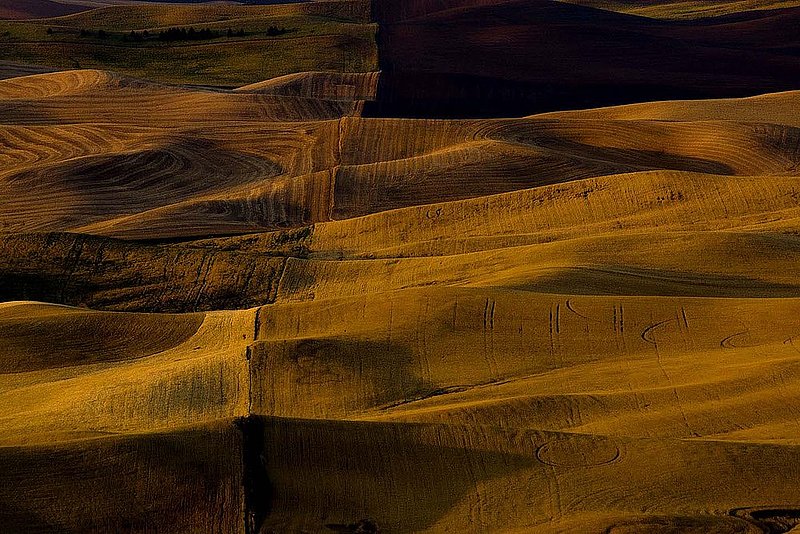 Palouse01.jpg :: Morning Shadows, The Palouse Region in SE Washington State, USA