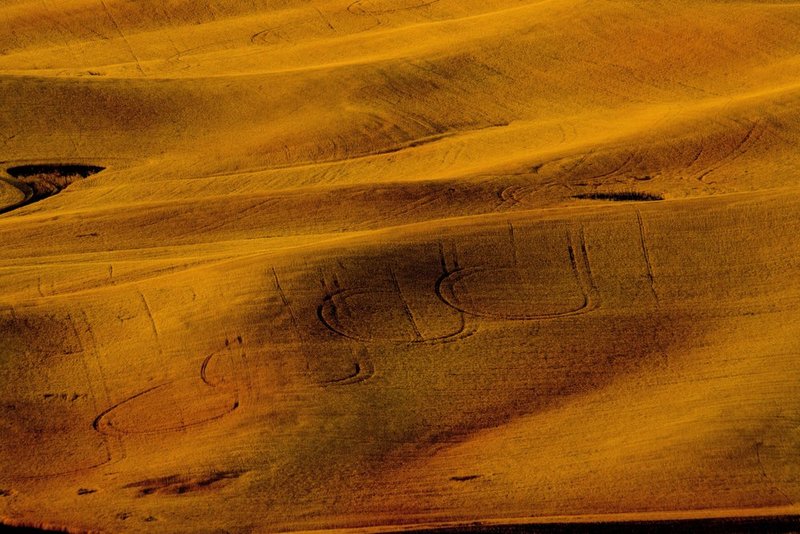 Palouse04.jpg :: Harvested Wheat Field, The Palouse Region in SE Washington State, USA