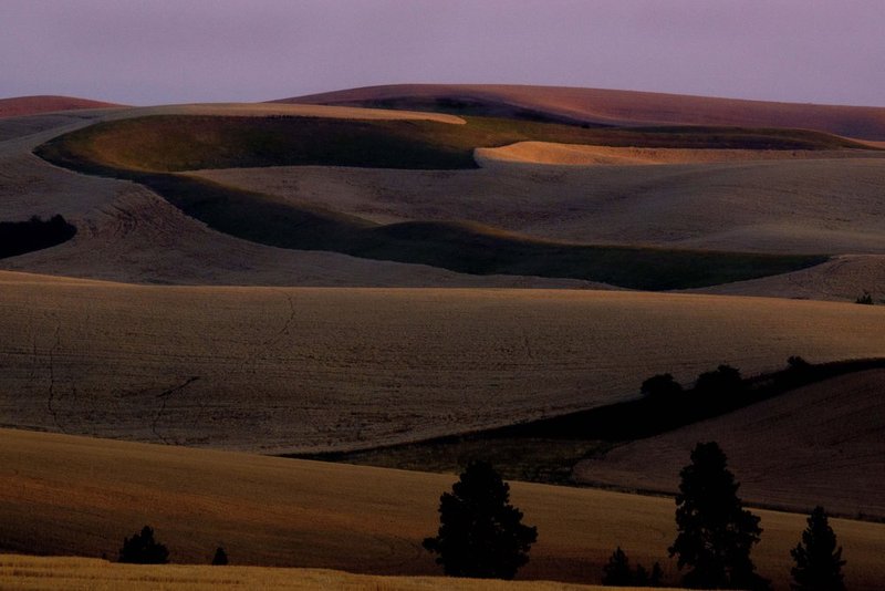 Palouse07.jpg :: Sunset in the Palouse, The Palouse Region in SE Washington State, USA