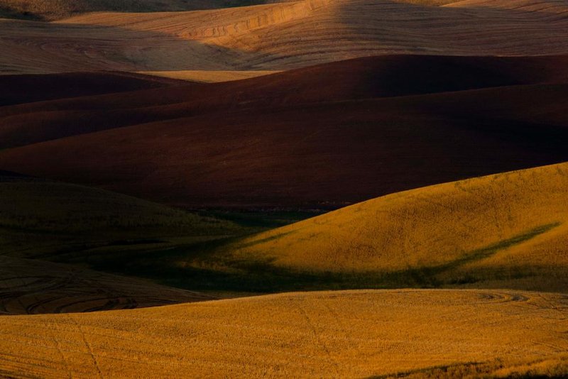 Palouse08.jpg :: Sunset in the Palouse, The Palouse Region in SE Washington State, USA