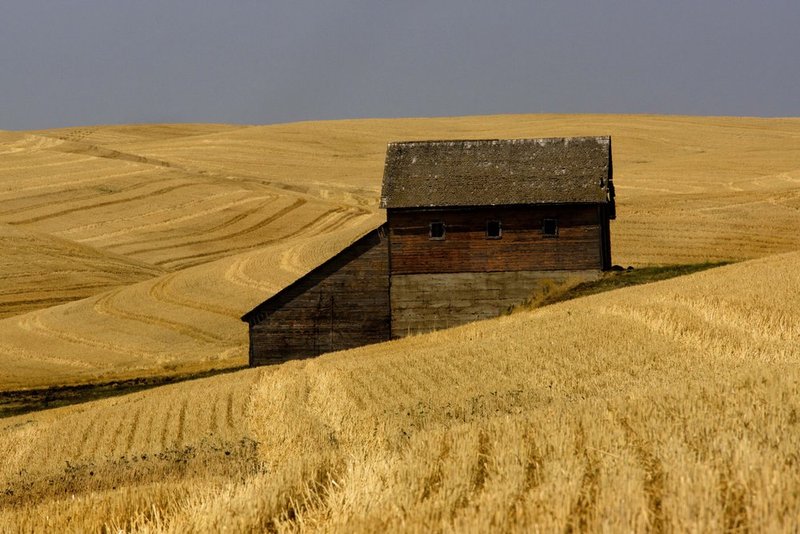 Palouse11.jpg :: Barn and Harvested Wheat Field, The Palouse Region in SE Washington State, USA